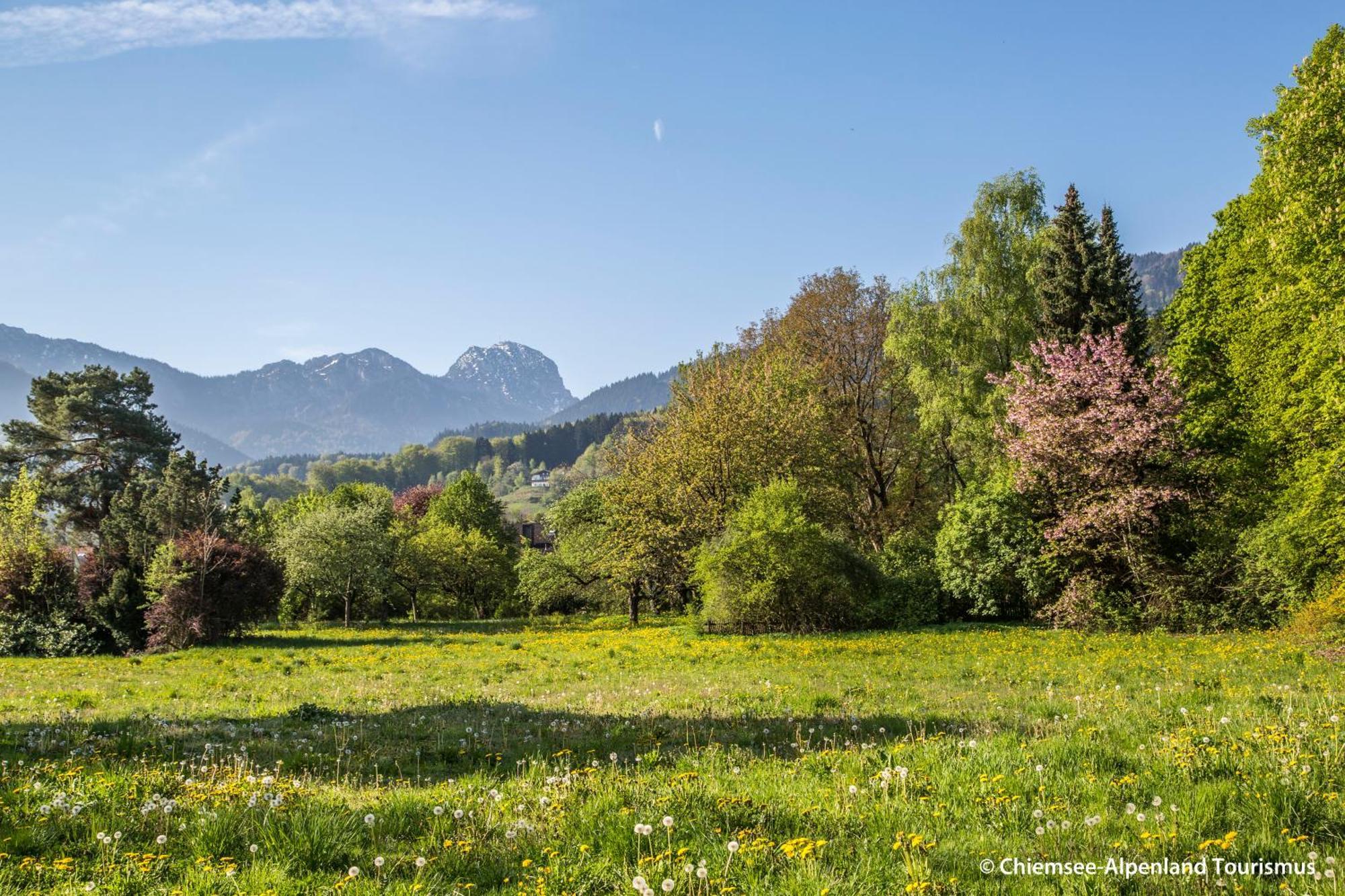 Land Wirtschaft Hoess Bad Feilnbach Exterior foto